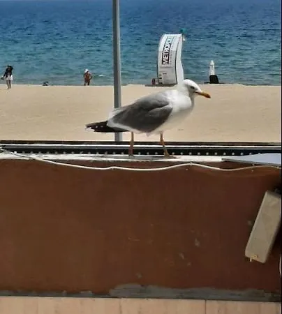 Apartman Sunny Beach *
